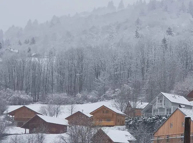 Nid Douillet A La Bresse